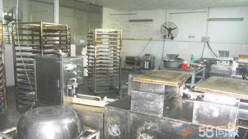 廣州黃埔區(qū)穗東街道廢舊食品廠設備回收電話