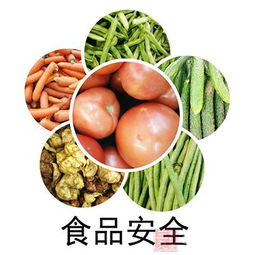 食品安全法 讓 史上最嚴 擲地有聲