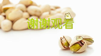 堅果食品類企業的產品展示