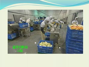 收藏 冷鏈食品工廠基本知識