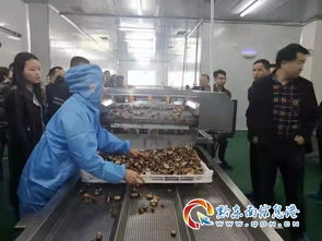 臺江縣 果蔬脆食品加工廠正式開業