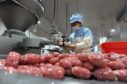 河北香宇 打造優(yōu)秀企業(yè),生產(chǎn)百姓放心食品