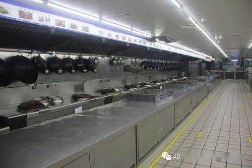 4d廚房,為食品安全保駕護(hù)航 搶先做