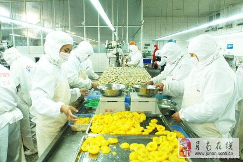 食品廠直招車間工人