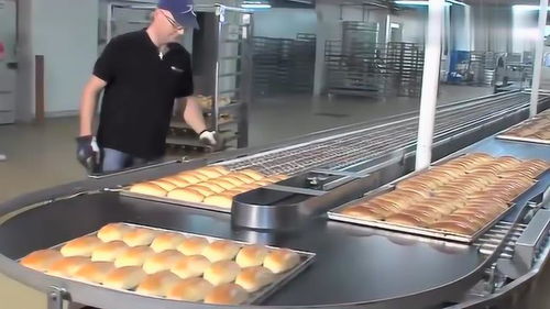 實(shí)拍國(guó)外工廠食品加工過程,真是大開眼界了