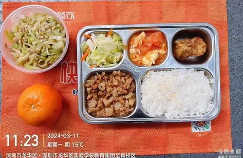 網友稱多名小學生在校午餐后嘔吐腹瀉
